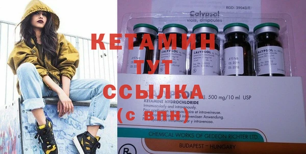 стаф Алексин
