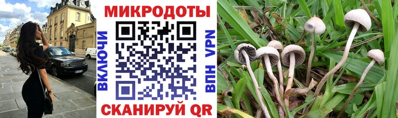 дарнет шоп  Чебаркуль  Галлюциногенные грибы Psilocybine cubensis 